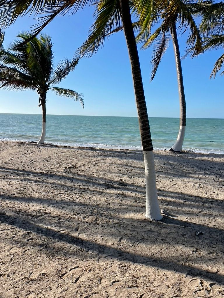 57628 477.41 m² beachfront lot in  - SingleFam Lot