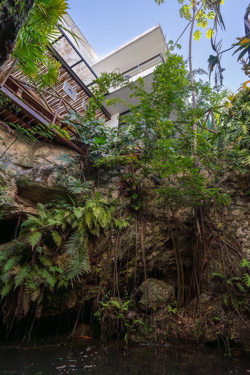 Luxury Cenote Home in Playa del Carmen