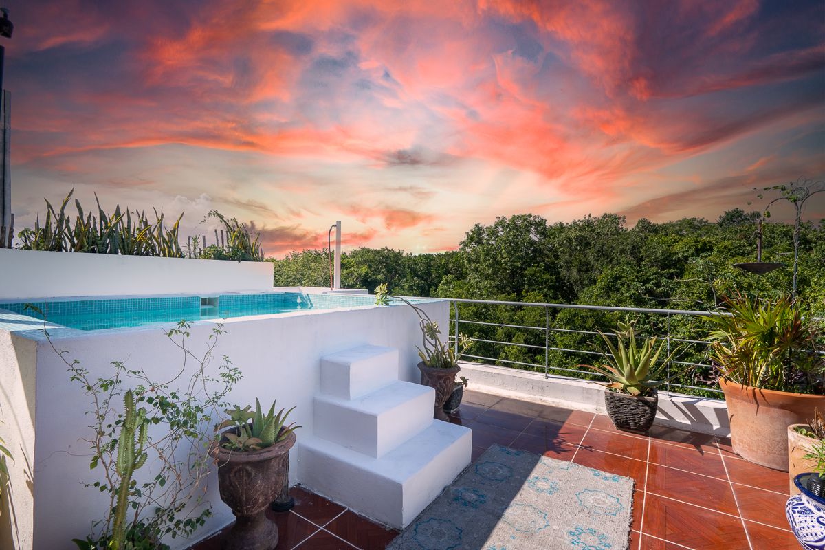Luxury Cenote Home in Playa del Carmen