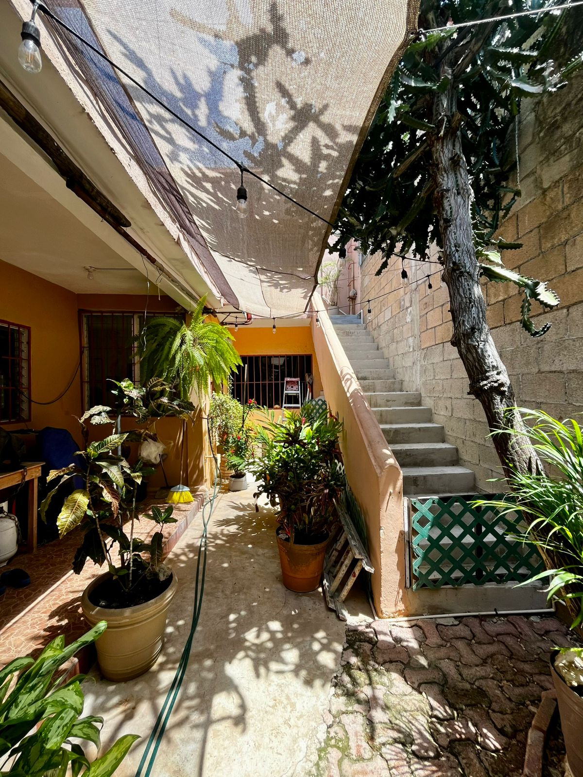 House with 5 independent units, ideal for investment