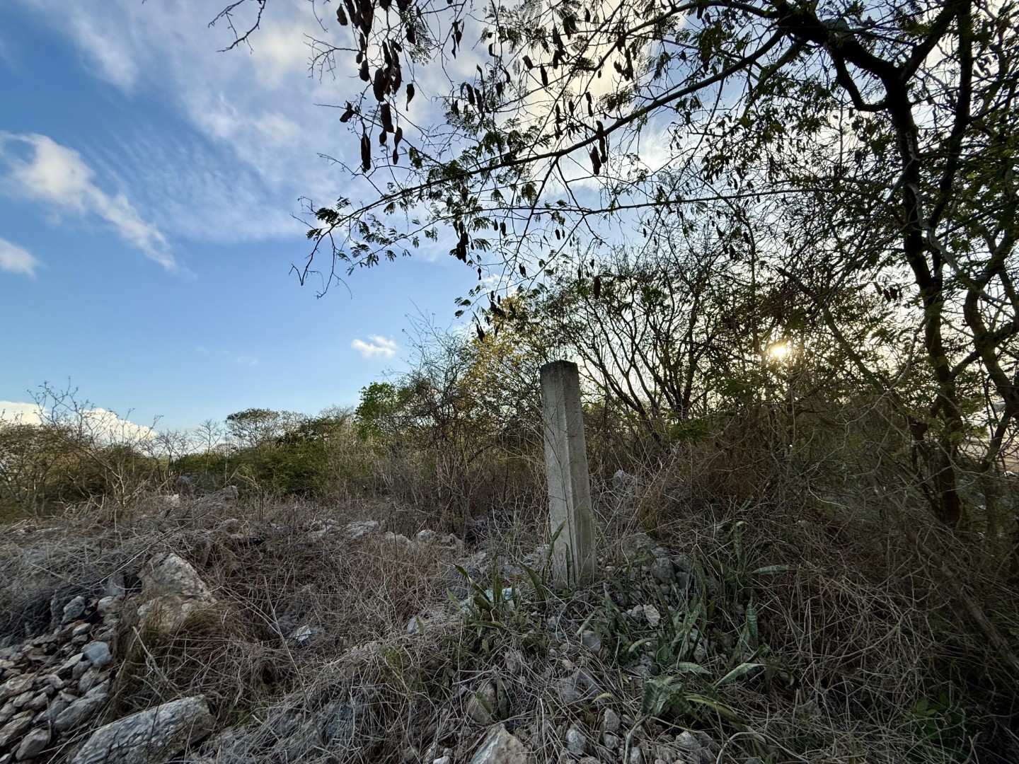 Merida Periferia