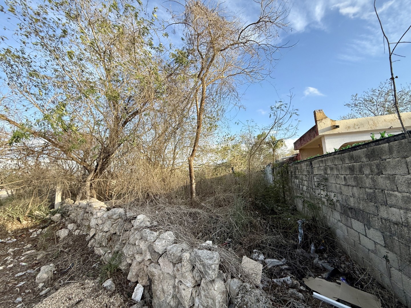1730 m² Land in Dzityá, Mérida, Yucatán
