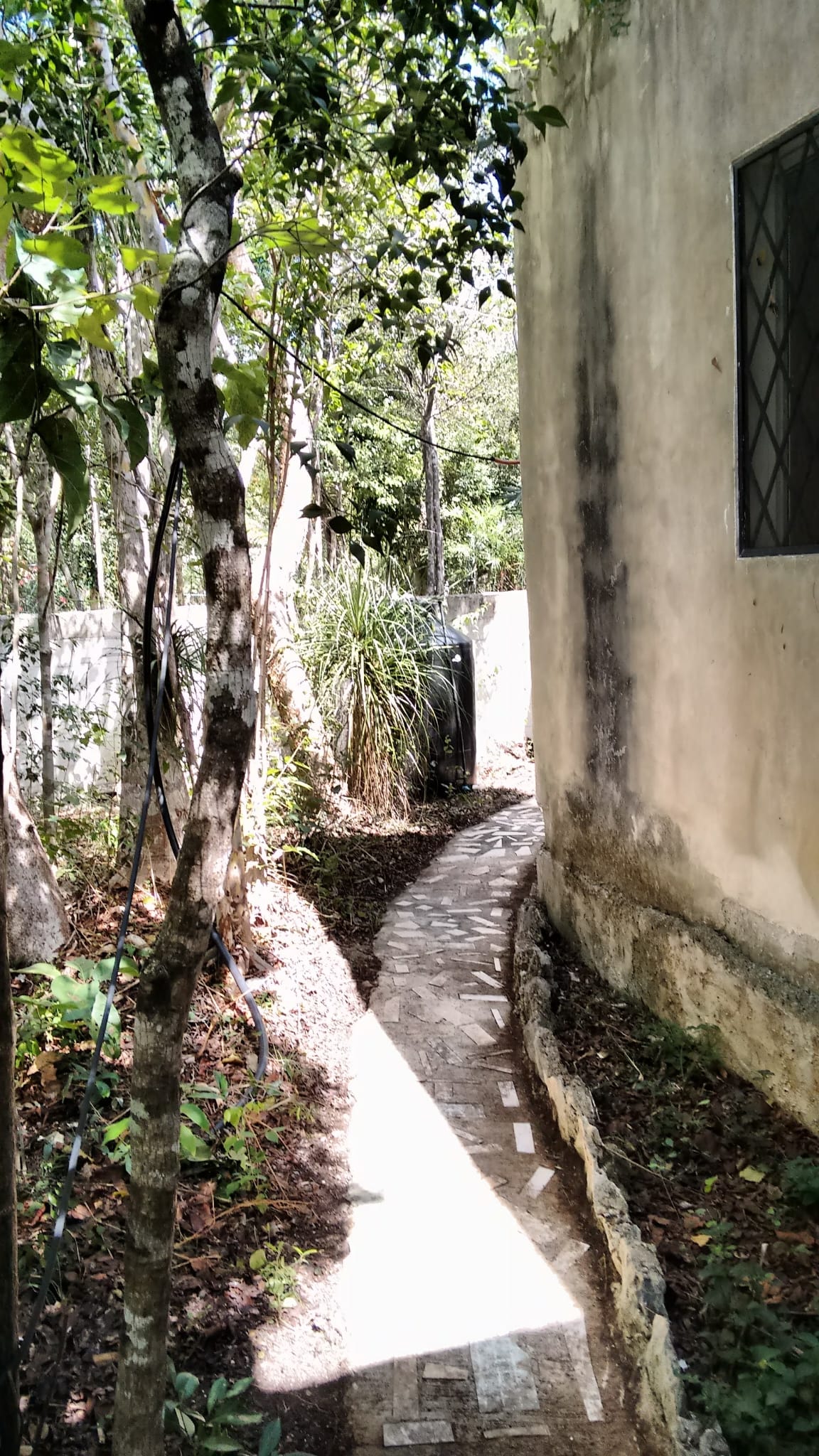 59215 Fixer-upper opportunity in Tulum near from the  - Home