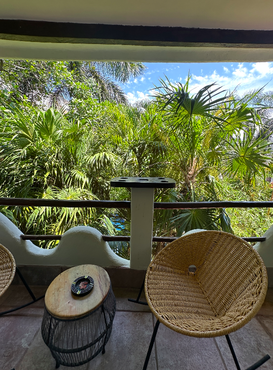 Jungle views Studio excellent rental unit close to the beach