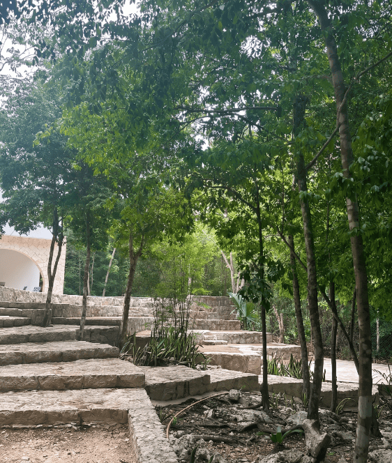 4.9 Acre Premium Residential Lot Below Market Value in Tulum