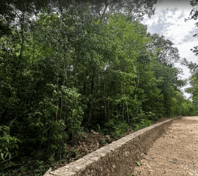 4.9 Acre Premium Residential Lot Below Market Value in Tulum