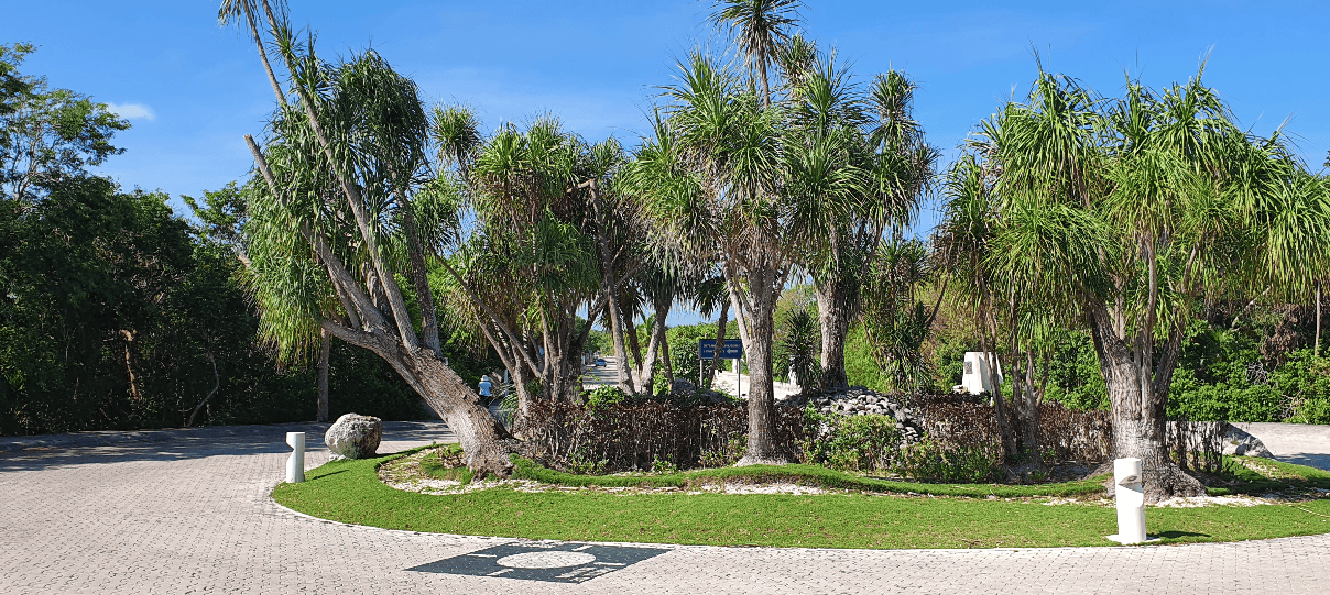 Akumal