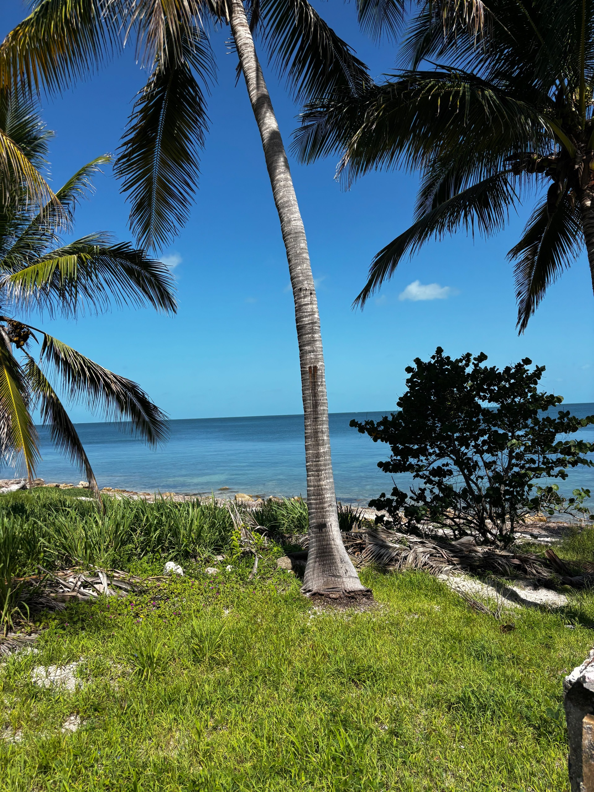 213.85 m² Lot on the Campeche–Champotón Highway