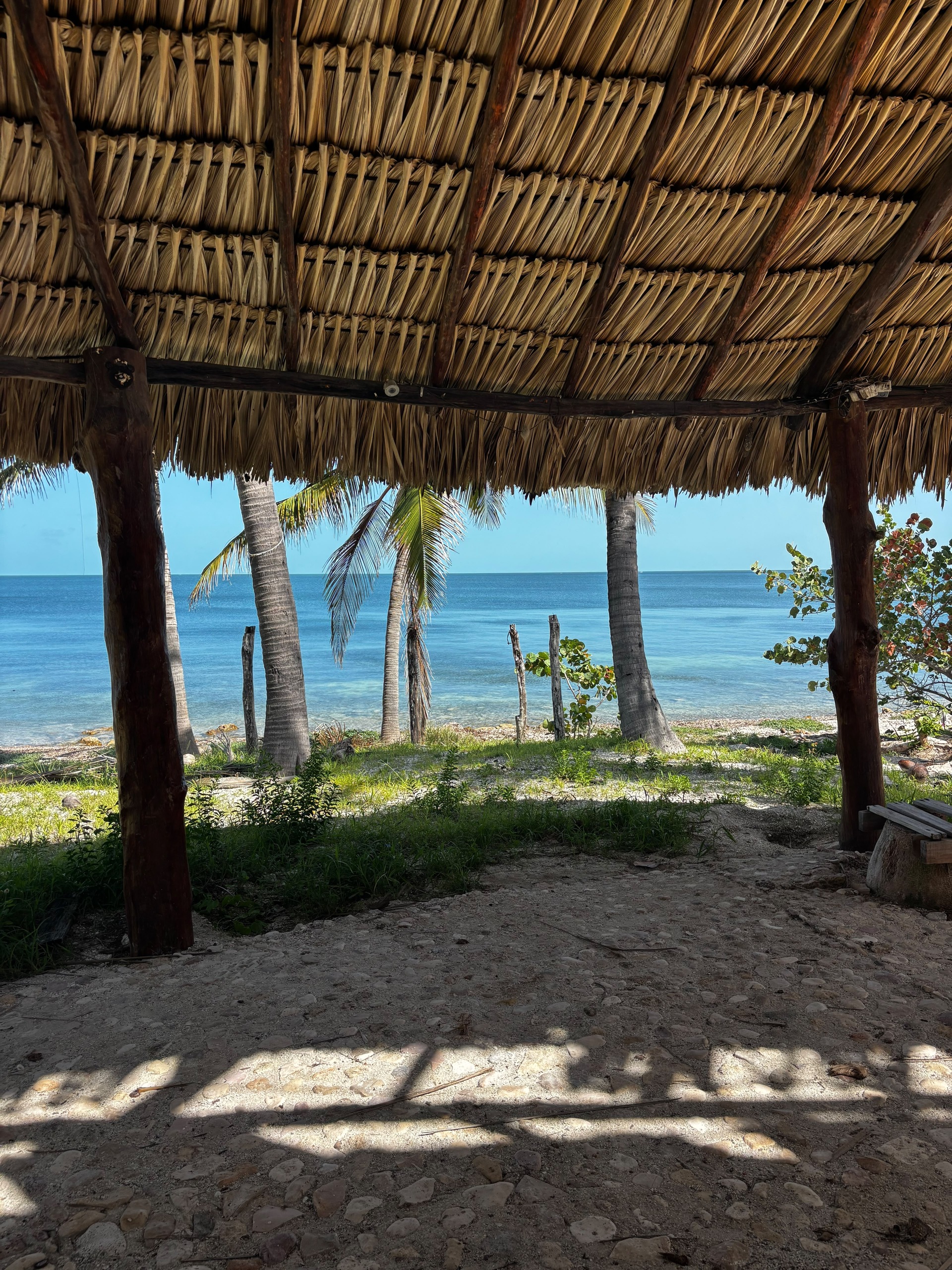 59472 213.85 m² Lot on the Campeche–Champotón  - Home