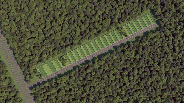 Semi-Urbanized Residential Lots in Motul, Yucatan