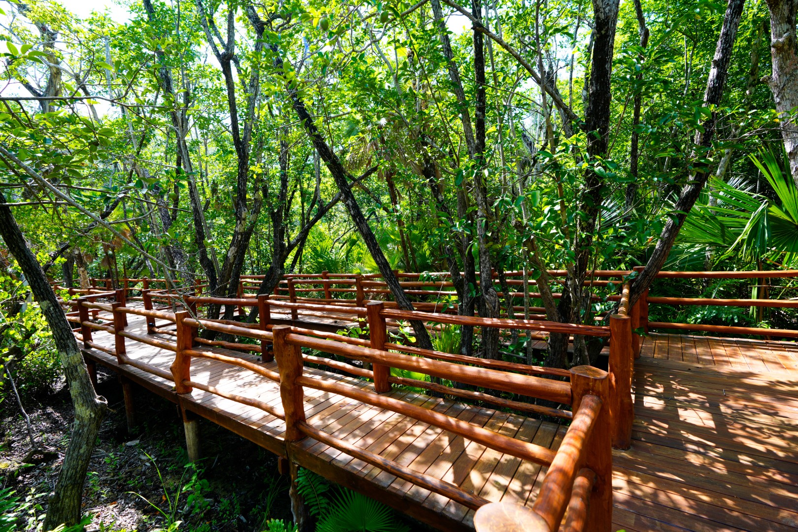 Tulum Jungle