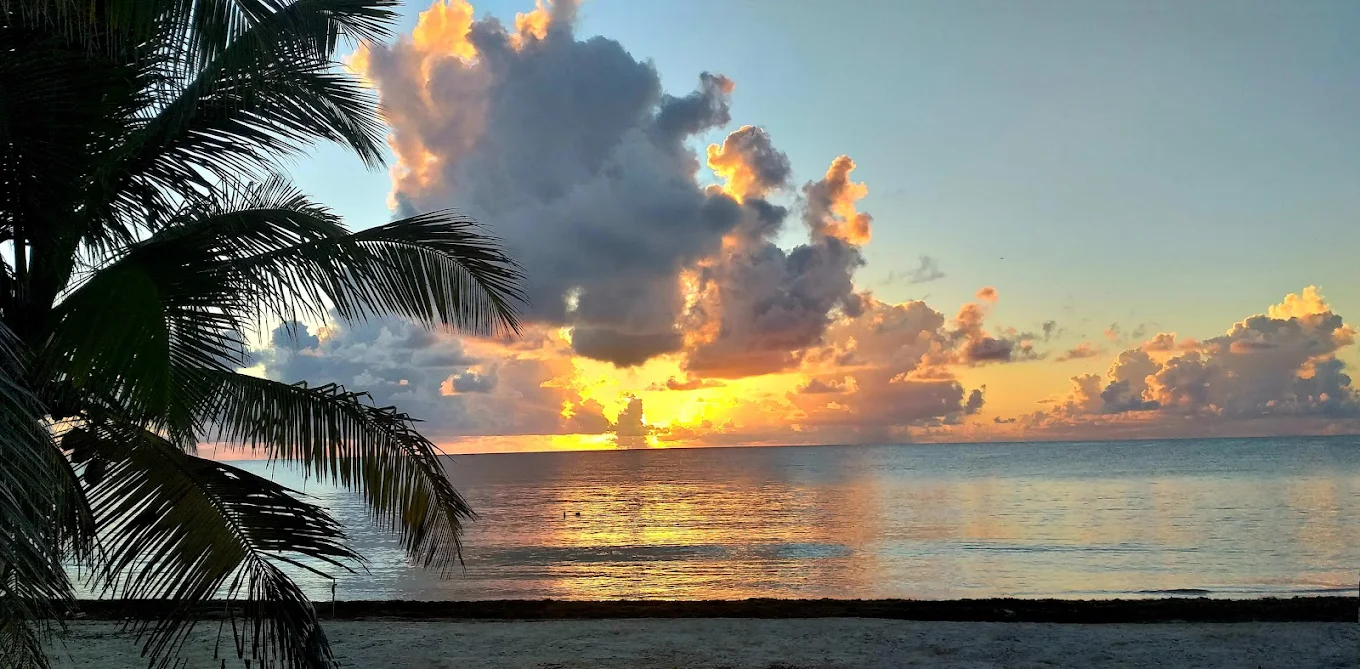 Costa Maya
