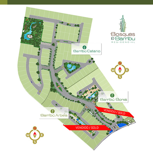 Bosques de Bambu - Arbela